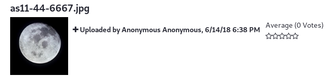 Anonymized content is presented with the User Anonymous Anonymous's identifying information.